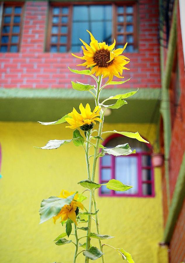Hostal Inti Raymi Backpackers 바뇨스 외부 사진